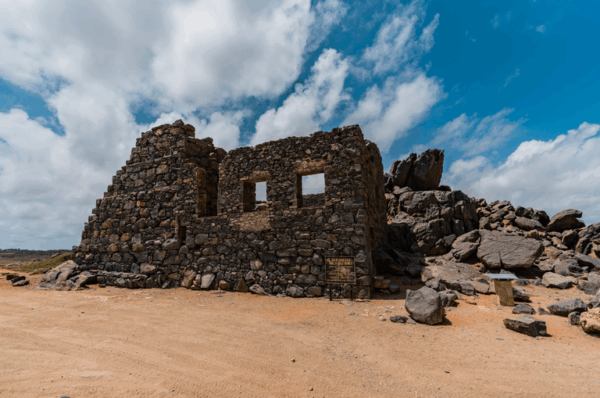 Mangel Halto & Baby Beach Off-Road Safari (Aruba) - Afbeelding 3