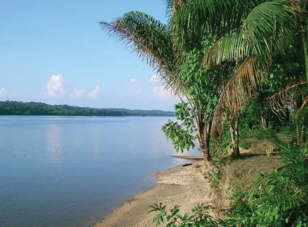 Excursión de un día a la Guayana Francesa (Surinam)