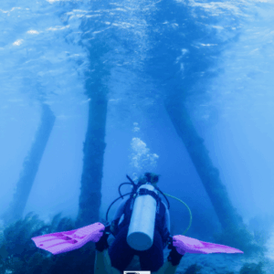 1 tank duik inclusief uitrusting en tanks - Westkust (Bonaire)