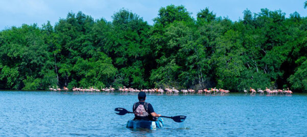 3 Dagen Bigi Pan Akira Overwater Resort (Suriname) - Afbeelding 4