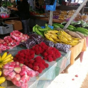 Visita a los Mercados Culturales (Surinam)