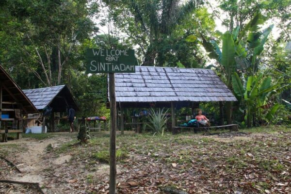 6 Dagen Gran Rio Sintiadam Expeditie (Suriname) - Afbeelding 5
