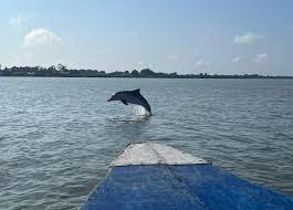 Excursión en barco a Commewijne (Surinam)