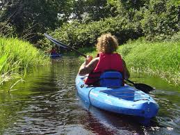 Excursión de 2 días en kayak por Coesewijne (Surinam)