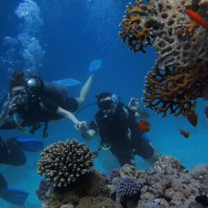 1 tank duik inclusief uitrusting en tanks - Oostkust (Bonaire)