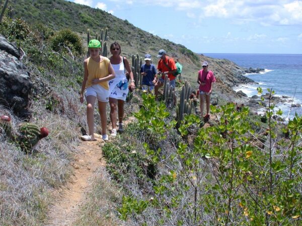 Guana Bay Coastal Hike Tour (Sint Maarten) - Afbeelding 2