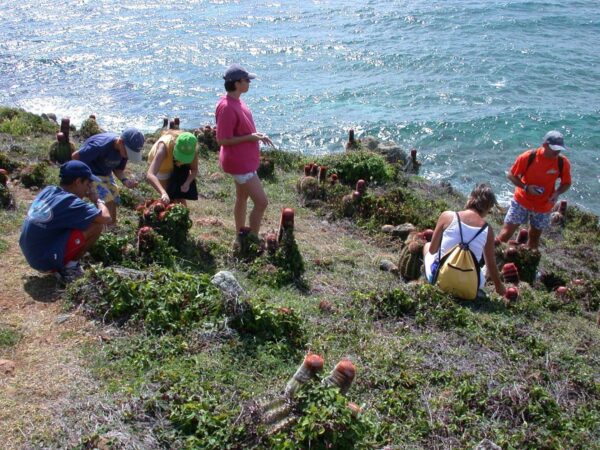 Guana Bay Coastal Hike Tour (Sint Maarten) - Afbeelding 3