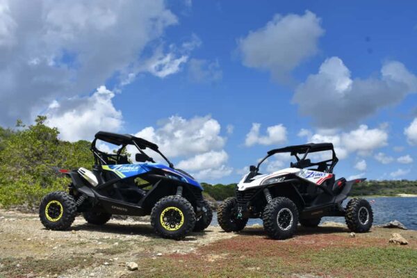 Off-Road Buggy Tour (Curacao) - Afbeelding 2