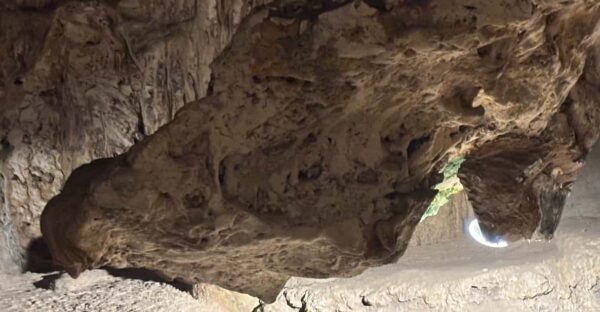 Willemstad: Hato Grot, Flamingo's en Turtle Beach Tour - Afbeelding 5