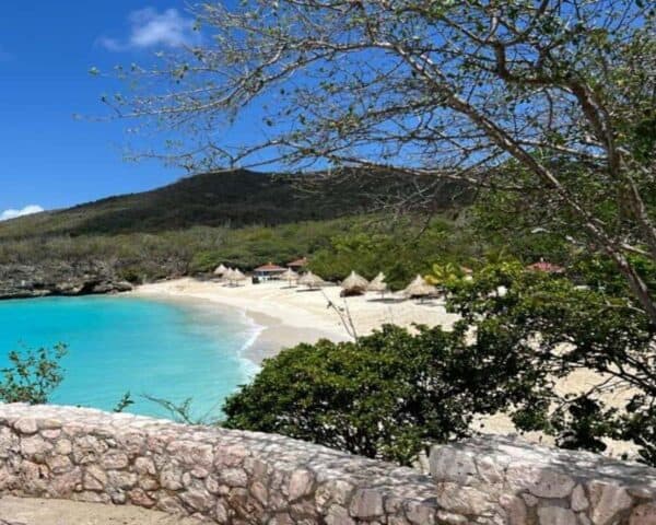 Willemstad: Hato Grot, Flamingo's en Turtle Beach Tour - Afbeelding 4