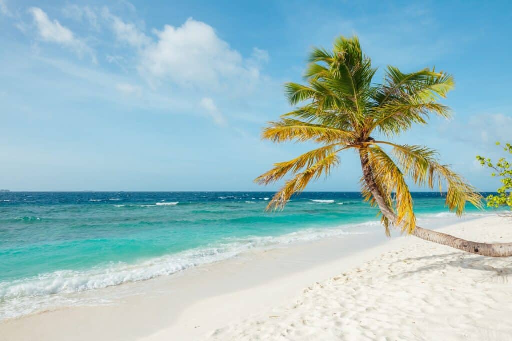 Een enkele palmboom leunt over een wit zandstrand met turquoise golven die zachtjes binnenrollen onder een helderblauwe hemel met verspreide wolken.