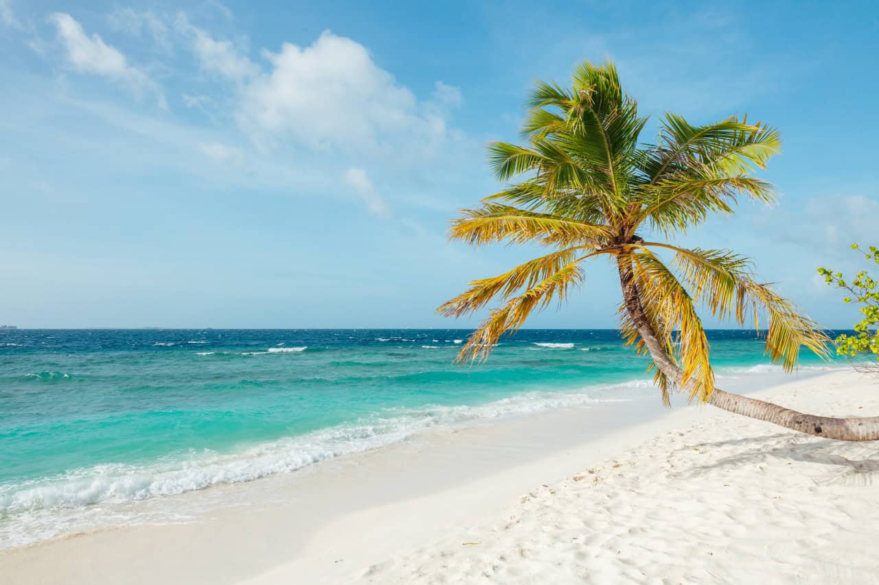 Een enkele palmboom leunt over een wit zandstrand met turquoise golven die zachtjes binnenrollen onder een helderblauwe hemel met verspreide wolken.