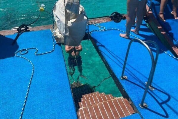 Volwassenen Only: Kleine Groep Snorkel Sunset Cruise (Aruba) - Afbeelding 3