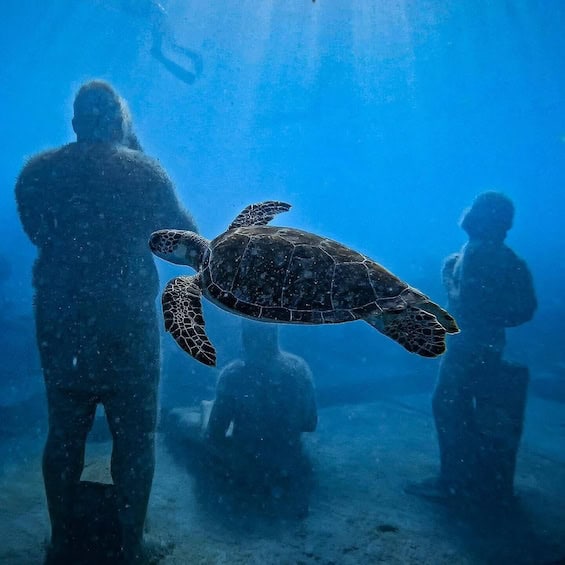 Parque de esculturas submarinas Aventura de snorkel (San Martín)
