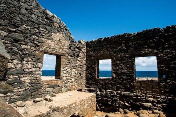 Descubre las raíces: ¡Aventura de 3 horas con ATV y UTV! (Aruba) - Imagen 5