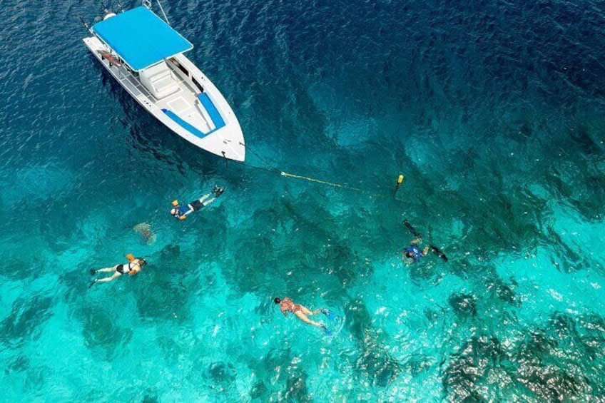 Privé Snorkeltocht met Kapitein en Gids in het Marine Park (Bonaire)