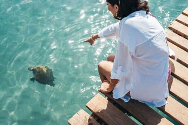 Cave, Turtles & Beach (Curaçao) - Image 3