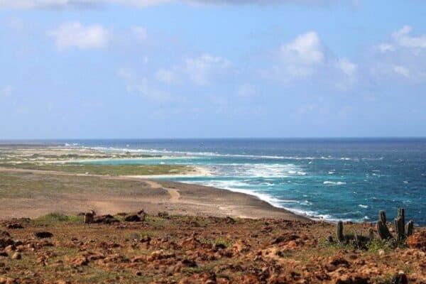 Tour de arte, playa y cultura con Kini Kini (Aruba) - Imagen 4