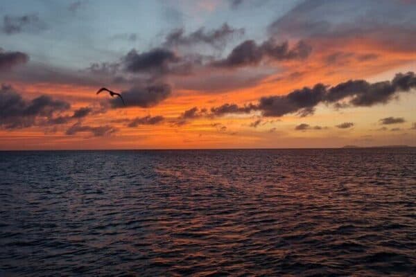100% Privé Zonsondergang Zeiltocht op het Ruimtelijkste Jacht (Bonaire) - Afbeelding 5