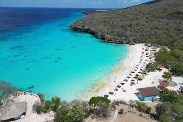Swim with Sea Turtles and Grote Knip Beach Tour (Curaçao) - Image 5