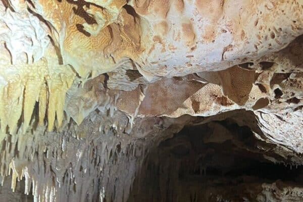 Tour a la cueva de Bonaire: escale, practique snorkel y descubra tesoros escondidos (Bonaire) - Imagen 3