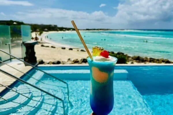 Tour de safari de medio día y playa para bebés (Aruba) - Imagen 5