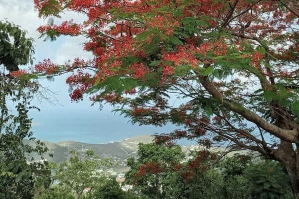 Grupo pequeño: Excursión a pie por la costa y natación (San Martín) - Imagen 4