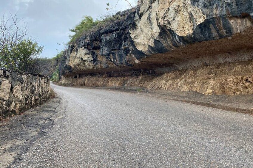 Rondleiding door Bonaire: Noord en Zuid (Bonaire)