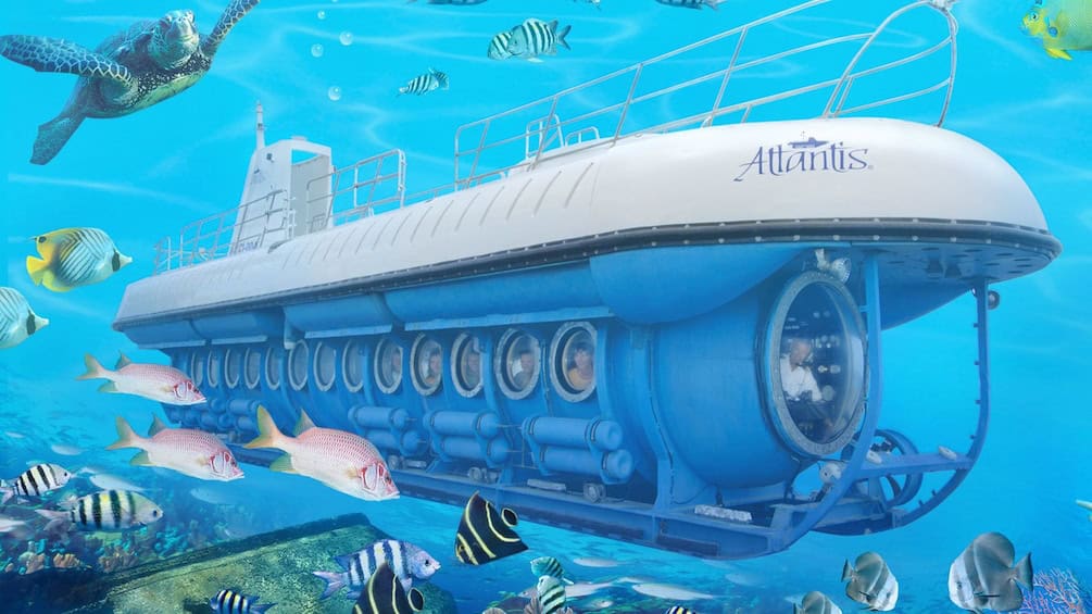 Atlantis Submarine Duik (Aruba)