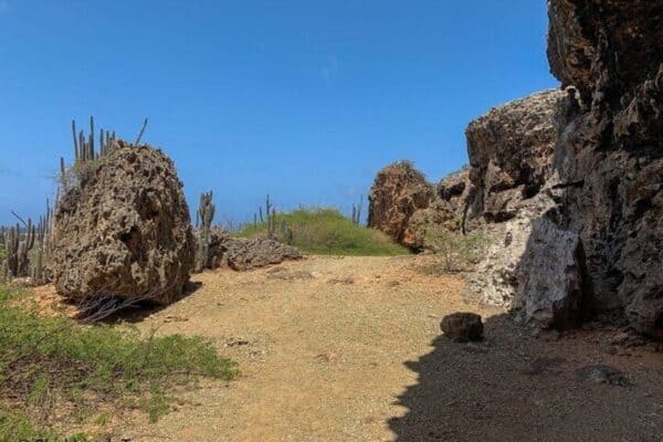 Inscriptions Tour with Local Guide (Bonaire) - Image 2
