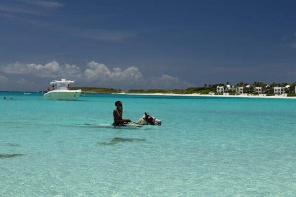 Ontdekkingstocht met Speedboot (Sint Maarten) - Afbeelding 2