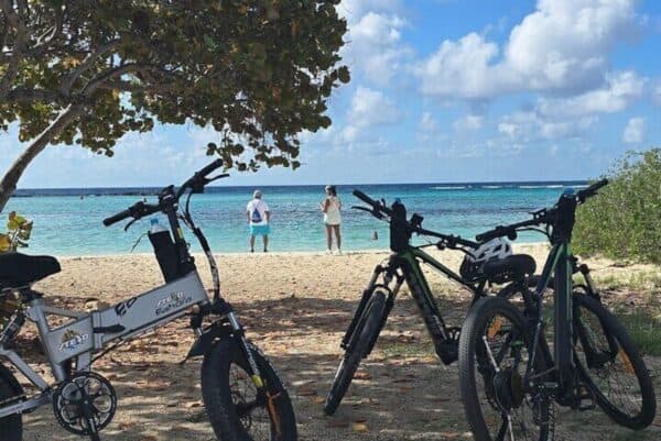 Private Street Art and Coastal Splendor: E-Bike Adventure in San Nicolas (Aruba) - Image 4