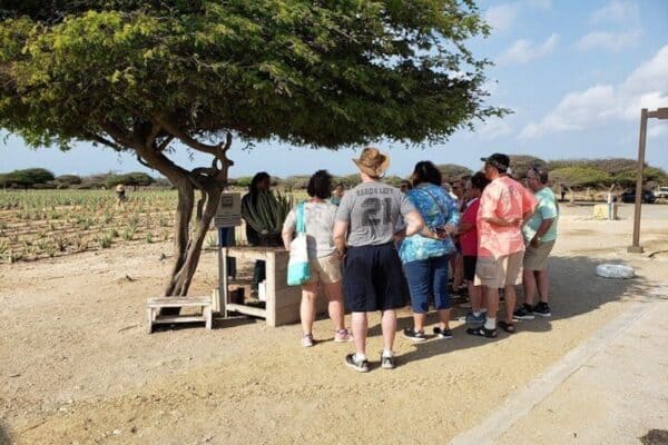 Private Tour: Essential Tour (Aruba) - Image 4