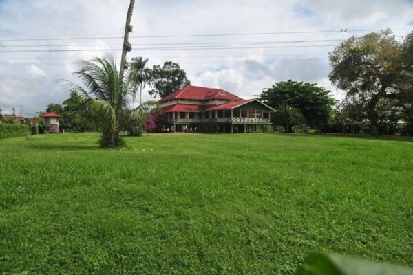 Full Day Trip Saramacca and Coronie with Lunch (Suriname) - Image 3