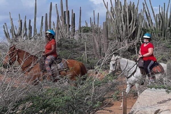 Paardrijden 2 uur: Zonsondergang, Rotsformaties en Strandtocht (Aruba) - Afbeelding 5