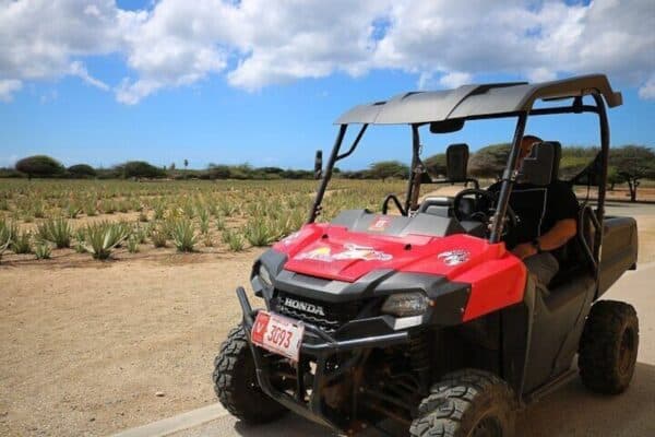 Descubre las raíces: ¡Aventura de 3 horas con ATV y UTV! (Aruba) - Imagen 3