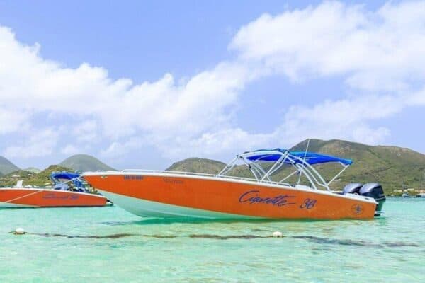 Billy Bones Exclusive Private Boat Tour Around St. Maarten (Sint Maarten) - Image 4