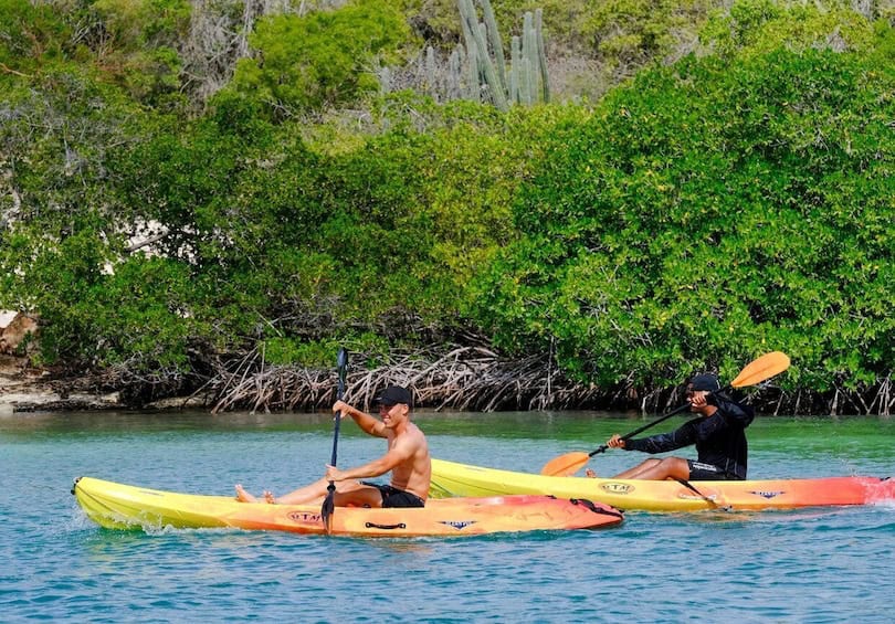 2-Uur Kajak Tour in Curaçao (Curaçao)