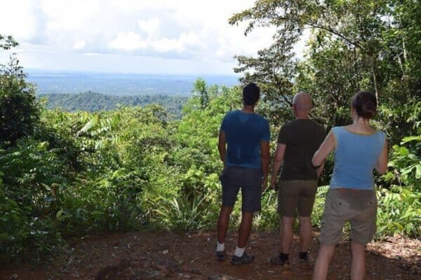 Excursión de día completo al Parque Natural de Brownsberg (Surinam) - Imagen 4