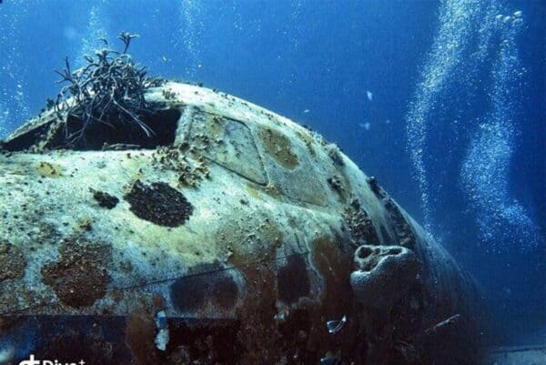 2-Tank Guided Dive for Certified Divers (Aruba)