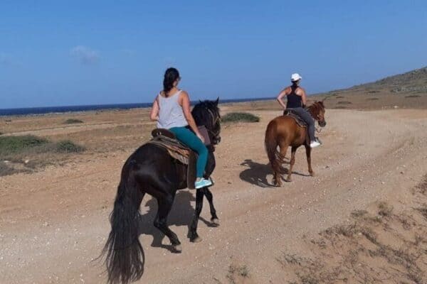 Tour avanzado a caballo (Aruba) - Imagen 2