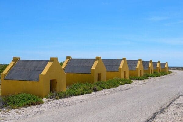 Visita guiada individual de 2 horas en la Isla Sur para solteros y parejas (Bonaire) - Imagen 3
