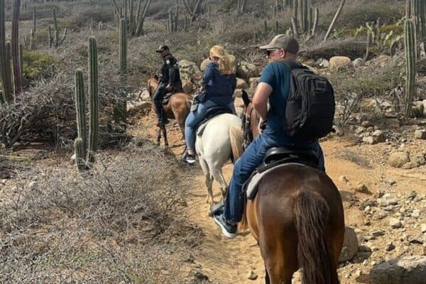 2 Hours Horseback Riding to the Little Natural Bridge (Aruba) - Image 3