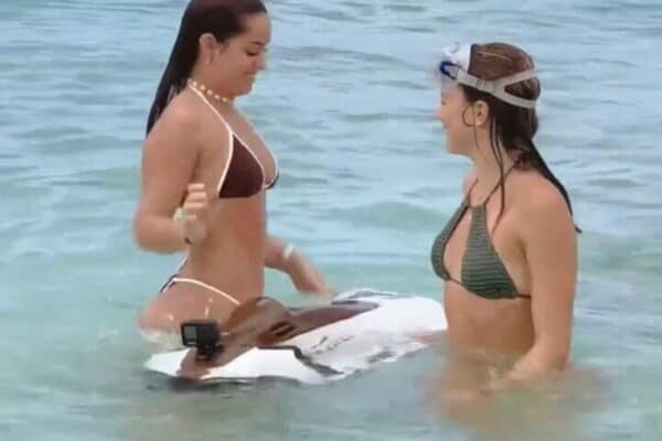 Alquileres de Seabob y lago en la playa de Mullet Bay (Sint Maarten) - Imagen 5