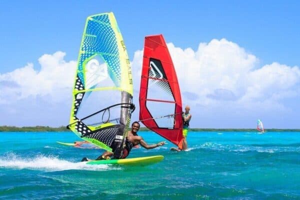 Visita guiada individual de 2 horas en la Isla Sur para solteros y parejas (Bonaire) - Imagen 2