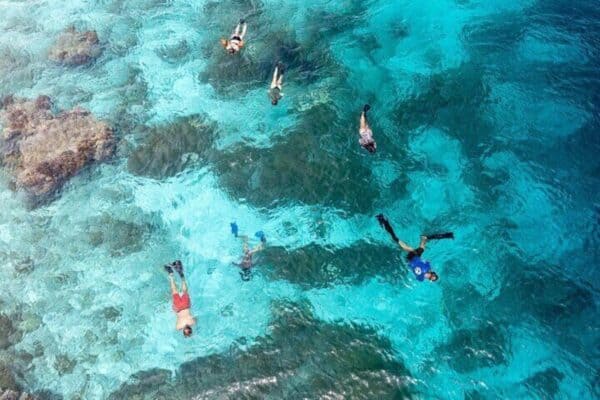 Private Snorkeling Tour with Captain and Guide in the Marine Park (Bonaire) - Image 2