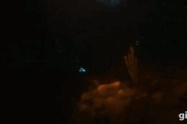 Bioluminescent Night Snorkeling (Bonaire) - Image 4