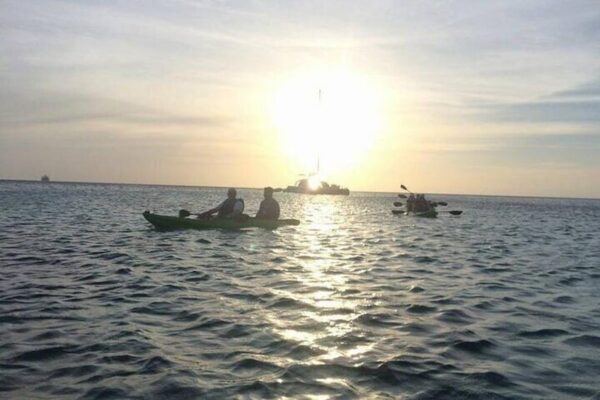 Glass Bottom Kayak Tour of the Mangrove Forest (Aruba) - Image 4