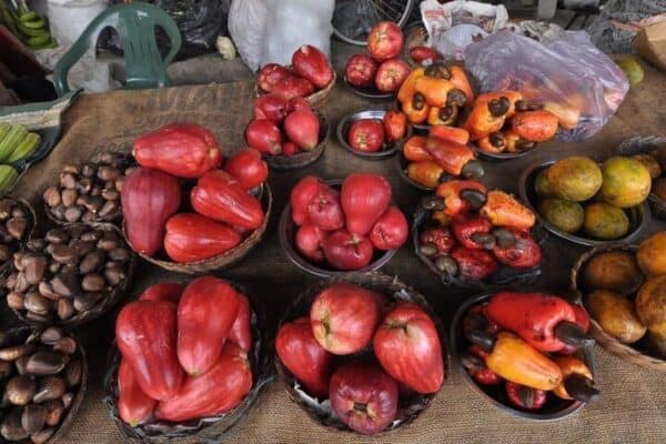 Wandeltocht door het centrum van Paramaribo (Suriname) - Afbeelding 4