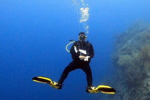 Explore Scuba Diving in Curaçao with Transportation Included (Curaçao) - Image 5